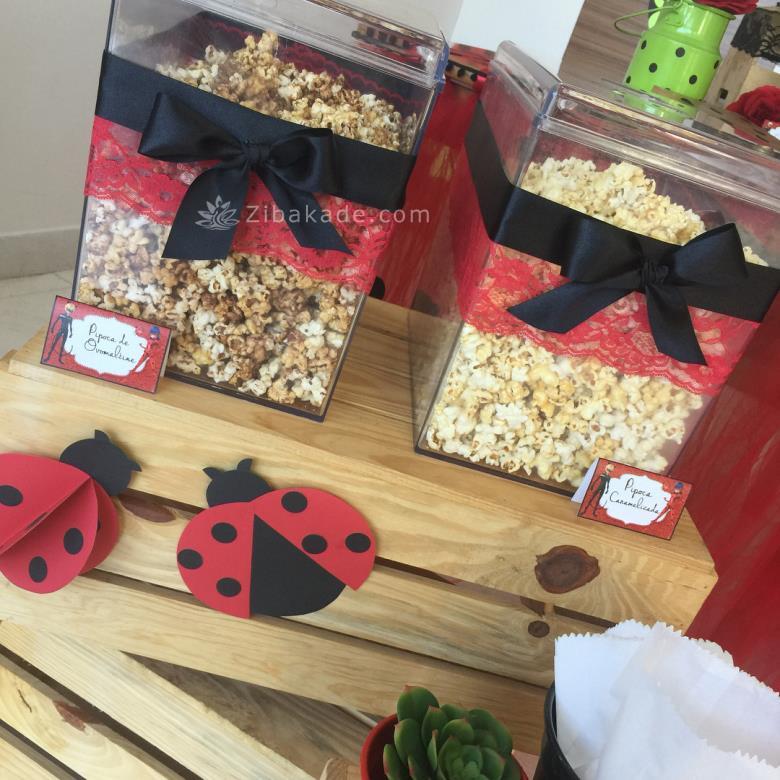 تم تولد لیدی باگ - Ladybug